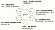 血浆血小板述评专栏全文美容外科(血小板皮肤瘢痕屏障血浆)