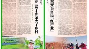 之美乡村艺术(乡村艺术村民文化光明日报)