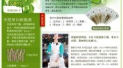 化妆品指南(化妆品词意名称词语用途)