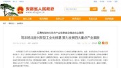 阜阳万元月薪人才最新企业(阜阳阜阳市底纹虚线简约)