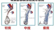 需求哈市仍是男士男性功能(需求男性男士女性仍是)