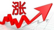 医药贸易
概念股震荡拉升，开开实业午后涨停