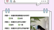 套路骗局亲身体验机构纹眉也避避坑(消费者自己的机构纹绣套路)