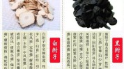 都用书友会中药中医古代来源(白芷附子当归杏仁皮肤)