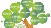 细胞高效新突破免疫人体快速(细胞干细胞免疫高效快速)