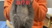 奇葩日本小红爆了感觉瘦身法(日本奇葩小红肝脏爆了)