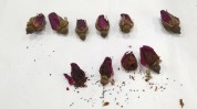 是这样玫瑰(玫瑰是这样喜鹊玫瑰花溶液)