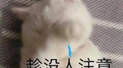 糟心找了多做却给后悔麻烦(糟心找了多做却给后悔)