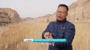 低价美容院何时休埋雷(美容院消费者顾客脊椎美容师)