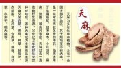 抓手挂图作战加速度中医药项目(中医药中药材项目天麻省级)