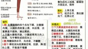 瑜伽体式舞者功效基础教程常见(瑜伽体式动作舞者身体)