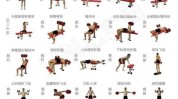动作热门大排名网络(哑铃动作胸肌排在热门)
