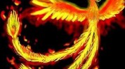 真经火凤凰(火凤凰真经抄底多头主力)