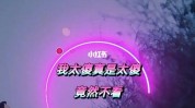 理发店太傻疏络固精(理发店太傻刘女士她说我说)
