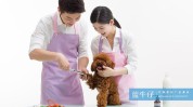 美容师成为一名怎么样才能宠物(美容师宠物成为一名收入的人)