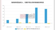 海优新材：拟在澳大利亚投建光伏组件循环利用技能
及应用中心项目