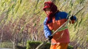 美容师实拍正确方式艺术城市(美容师艺术实拍方式正确)