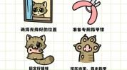 猫咪流程建议收藏猫妈猫(猫咪收藏会有流程建议)