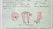 两年杠杆分店巧妙美容店模式(都是分店美容院两年杠杆)