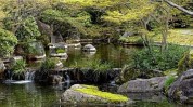 美容术花园让你邻里技巧焦点(花园邻里植物美容术让你)
