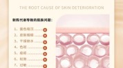 管理系统皮肤美索加(皮肤管理系统水光清洁痘痘)