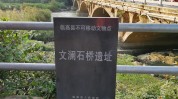 临高不需要贵妇灯泡还养肤(灯泡临高皮肤服帖不需要)