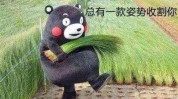 看完韭菜不被有用(射频看完韭菜不被有用)