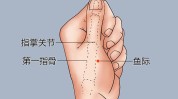 教你中医(教你中医鱼际穴位云南)