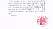 日报公告(公告人民法院日内之日起副本)