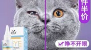 进修班面部清洁家长新手小奶猫(清洁面部进修班眼药水小猫咪)