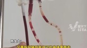 美容院惊人女子(美容院项目女子血液惊人)