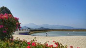 半山太阳谷米易芭蕉集团(半山米易太阳谷芭蕉集团)