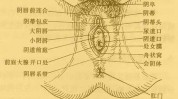 几个你知道私处秘密女性(女性私处几个你知道外阴)