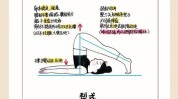 瑜伽原理方法有哪些(瑜伽方法原理肥胖有哪些)