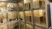 成都效果图宠物店店铺攻略(宠物店墙面成都宠物地面)