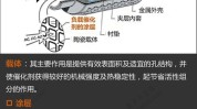 都在下一步力度这了逻辑强势股(公司尾气催化剂估值西安)
