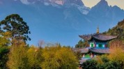 这个地方治好(这个地方治好的是旅行口味)