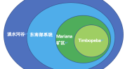 中国宝武与巴西淡水河谷：深化绿色低碳相助，探究
环球
绿色资源物流体系