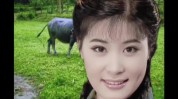 短剧视频美容师精准流量幽默(视频的人目的幽默短剧)