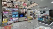 万元稳妥一万多实体店哪些项目收入(万元一万多宠物实体店稳妥)
