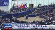 欧盟AI法案公布！下月见效分阶段实行