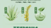 芦荟开创者新时代领导者芭芭(芦荟开创者芭芭领导者新时代)