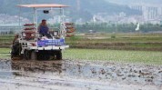 天津口岸铁矿砂入口
量激增：前5个月达3792.2万吨，同比增长28.3%
