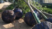研究机构：加息推高抵押贷款本钱
，导致英国贫苦
生齿
增长
32万