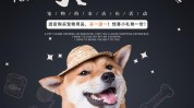 都有该怎么形式宠物广告(宠物受众广告品牌形象投资者)