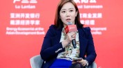 叶燕斐：要构建微电网、假造
电厂和车网互动的融资主体