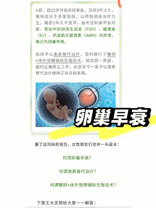 别再项目女人(卵巢别再精油激素项目)