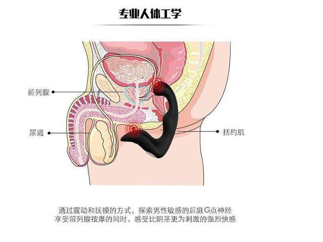 要诀美容院前列腺九大日常男人(前列腺要诀美容院九大男人)