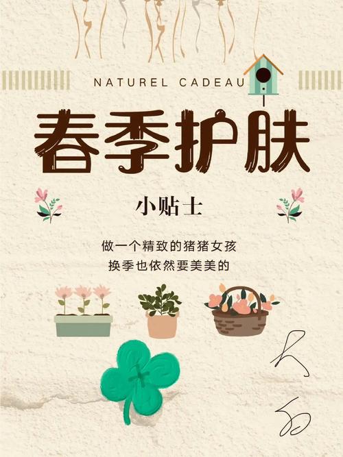 春季适合项目有哪些(春季春天适合乳房项目)