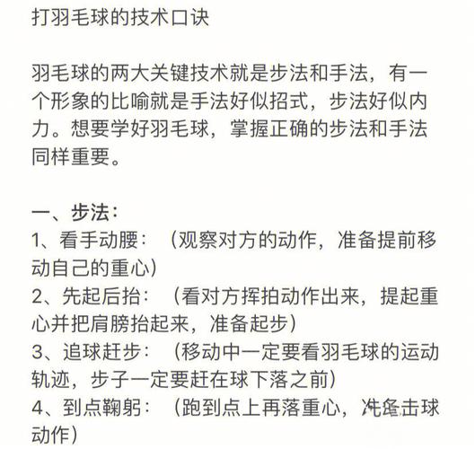 步法机构(项目机构步法下巴激光)